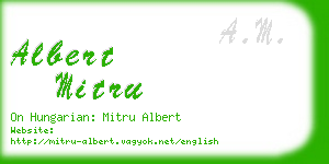 albert mitru business card